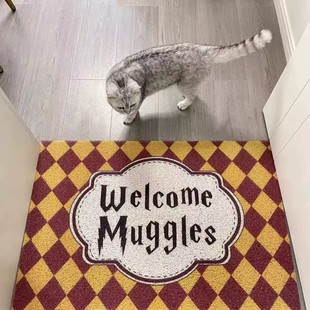 漫画风经典格子入户丝圈门垫玄关进门蹭土防滑脚垫除尘地垫可裁剪