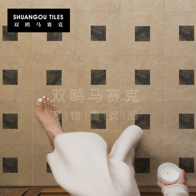 双鸥法式复古风卫生间莱姆石花砖