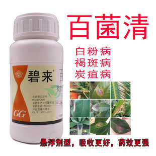 百菌清国光碧来花卉植物果树多肉叶斑病炭疽病白粉病霜霉病杀菌剂