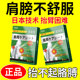 日本肩周专用贴膏肩膀酸贴肩周肩颈专用肩胛骨膏贴