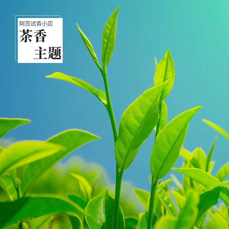 茶香味香水玉龙茶香白茶绿茶大吉岭茶云南丹桂无极乌龙香水小样