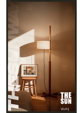 Santa & Cole 可调节TMC落地灯西班牙设计师款中古客厅卧室书房灯