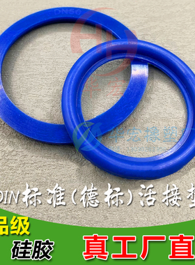 德标DIN活接头密封圈卫生食品级半圆D形蓝色硅胶圆螺纹由任垫片