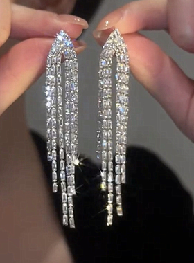 高级感流苏耳环女气质耳坠长款圆脸显瘦轻奢银针耳饰2024年新款潮