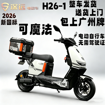 深远H26-1新国标锂电长续航电动