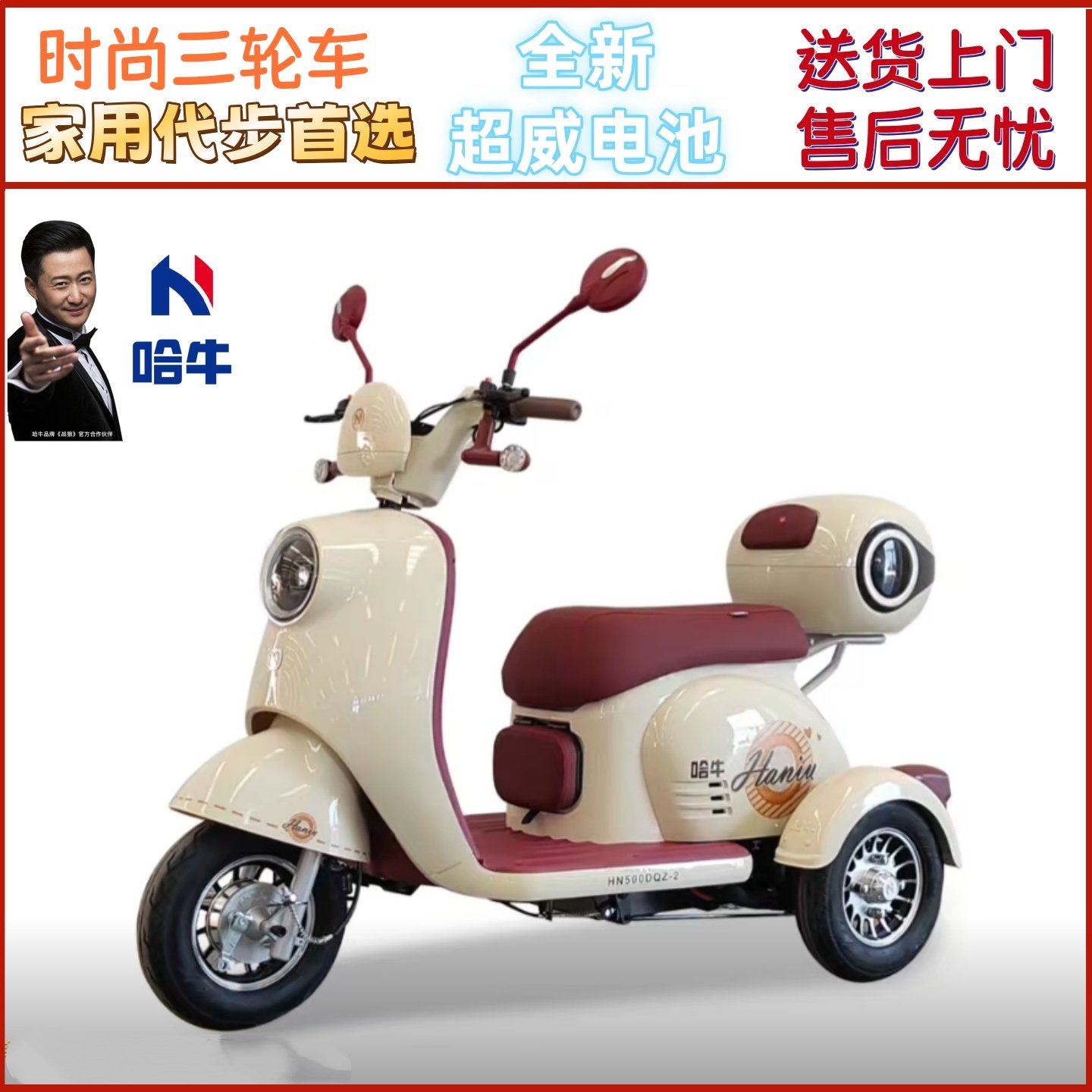哈牛电动三轮车女士家用小型迷你接送孩子老人代步车长续航电瓶车