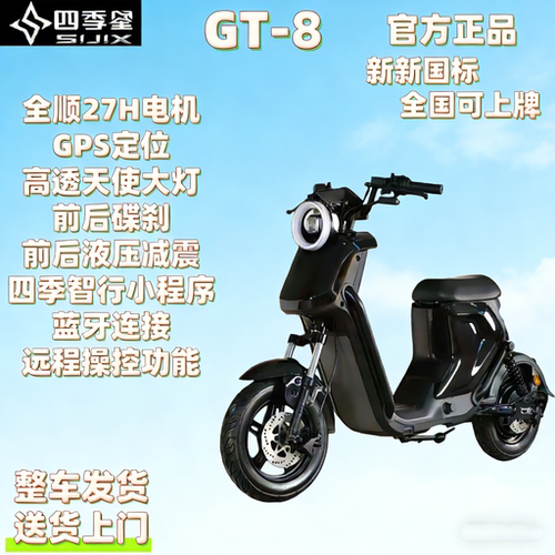 四季星GT8国标锂电长续航电动车