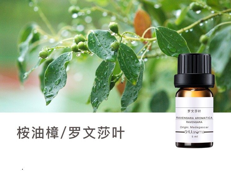有 罗文莎叶/桉油樟精油 呼吸道健康卫士提高抵抗力香薰