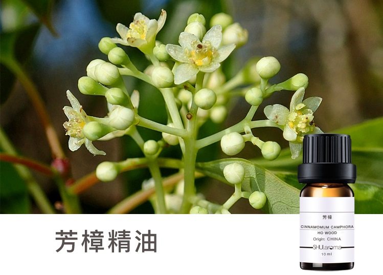 芳樟精油 平衡温和 沉香醇