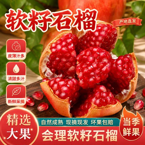会理突尼斯软籽石榴2026新果