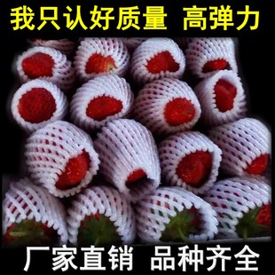 加厚枇杷草莓防震水果保护网套梨猕猴桃橙子桃泡沫包装网袋批发