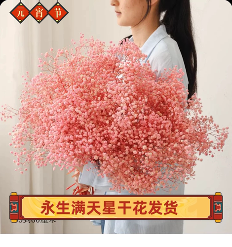 进口超大蓝色客厅满天星干花