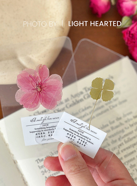 真叶幸运草四叶草银杏叶樱花标本画透卡天然许愿植物书签纪念礼物