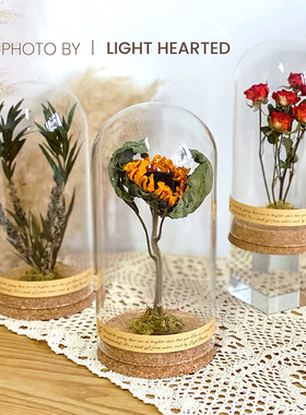 永生花干花植物标本玻璃罩摆件毕业闺蜜生日毕业情人圣诞节日礼物