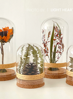 复古永生花干花向日葵植物标本玻璃罩微景观教室客厅摆件生日礼物