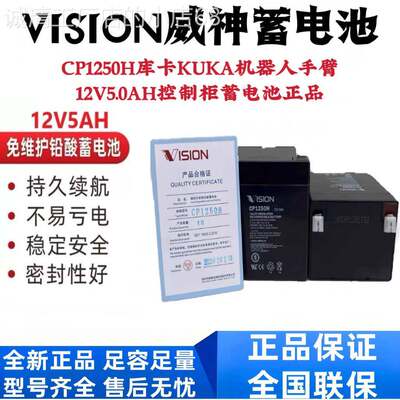 雄韬VISION威神蓄电池CP1