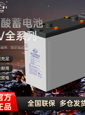 理士阀控式铅酸蓄电池DJ100/2V200/2V300AH/2V500AH/2V800AH