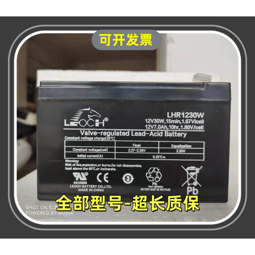 LEOCH理士蓄电池R1230WV