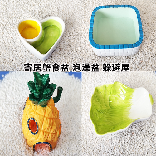 寄居蟹水盆食盆泡澡盆防溺水迷你小号大号双格三格树脂陶瓷多功能