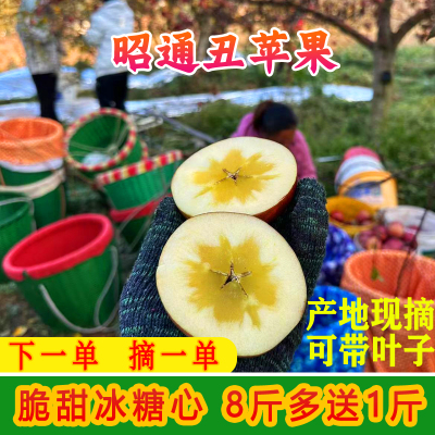 昭通冰糖心丑苹果脆甜当季整箱