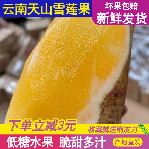 [黄肉中圆果]云南当季水果低糖天山雪莲果老人水果整箱9斤5斤