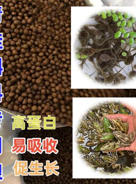 蛙粮饲料小蝌蚪角蛙食高蛋白饲料