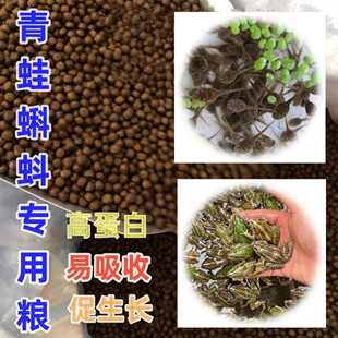 青蛙粮食牛蛙宠物蛙养殖专用粮小蝌蚪虎纹蛙林蛙小丑蛙角蛙饲料