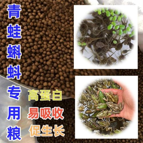 蛙粮饲料小蝌蚪角蛙食高蛋白饲料