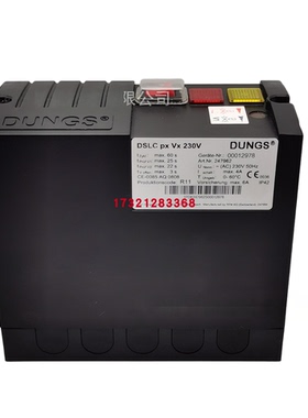 冬斯检漏装置 DSLC px Vx 230V VPS504S02 检漏仪 LDU11.323A27