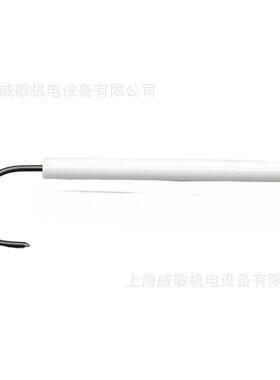 离子探针/火焰探测棒TBG150 TBG200 TBG210 Baltur百得燃烧器专用