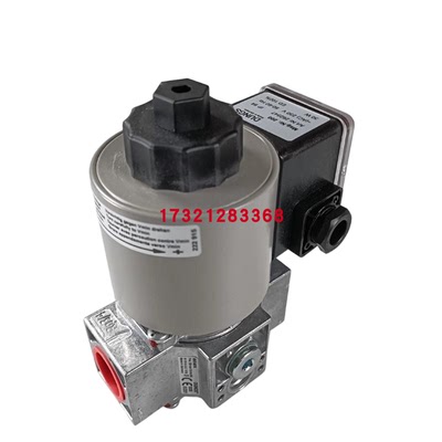 VGD40.080燃气阀组点火检漏