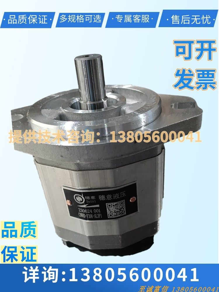 合肥集源液压生产 穗意液压 齿轮油泵CBQF-F540-AFφ13 液压泵配