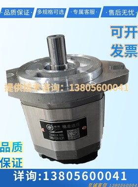 合肥集源液压生产 穗意液压 齿轮油泵CBQF-F540-AFφ13 液压泵配