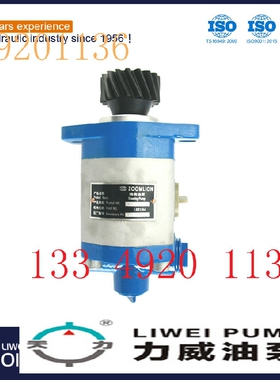 合肥力威1032300004转向泵 吊车动力泵QC32/13-WP-PY