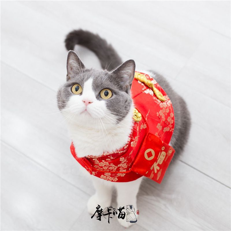 猫咪狗狗过年唐装红包披风喜庆猫四季保暖斗篷中国风衣服宠物领结