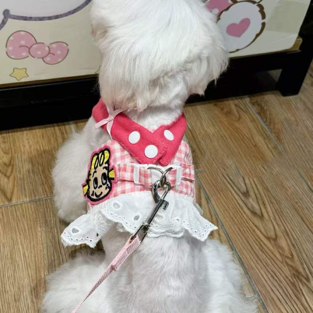 狗狗春夏季新款可爱小女孩胸背带按扣可牵引衣服中小型犬马尔济斯