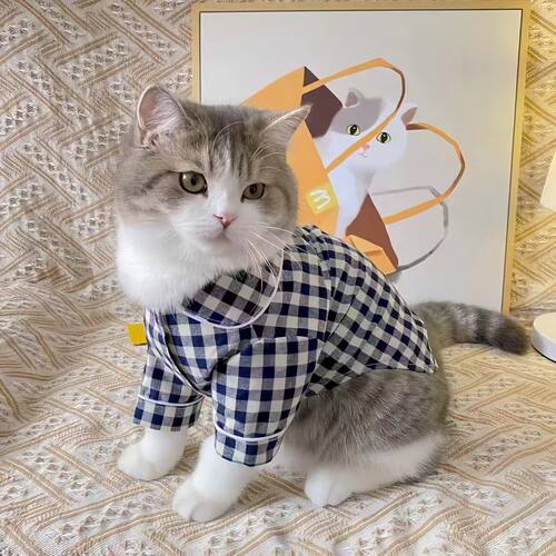 宠物四季款居家服猫咪狗狗可爱ins风睡衣网红格纹中小型犬猫咪狗