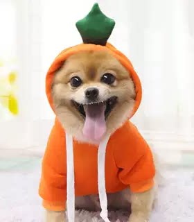 宠物狗狗猫咪春秋冬薄绒卫衣泰迪比熊小型犬青蛙水果连帽抽绳卫衣
