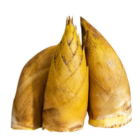 千岛湖高山现挖新鲜竹笋野生竹芽笋毛竹笋蔬菜生笋黄泥毛尖笋竹萌