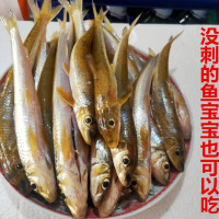 千岛湖棍子鱼新鲜大眼睛鱼淡水野棒棒鱼生无刺船钉鱼小河沙沟子鱼