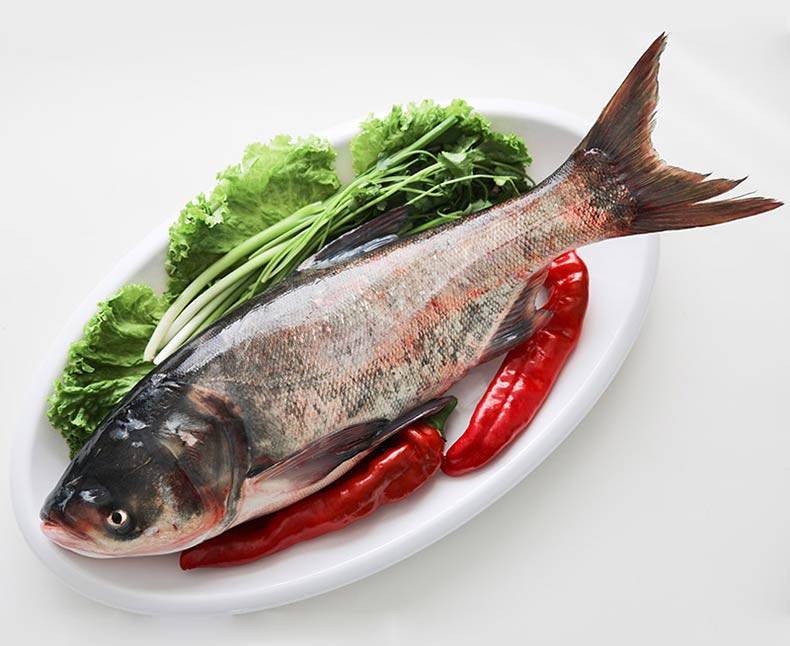 千岛湖食用水产生态鲜活白鲢鳙胖头鱼肉质鲜嫩美味大头鱼淡水鲢鱼