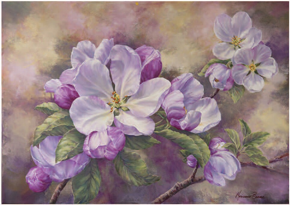 刘年锦绣正品法国dmc线自配十字绣套件非印花 hae 迷你苹果花