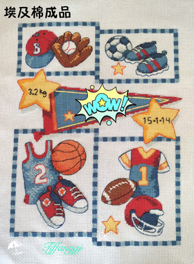 刘年锦绣 正品DMC线R线十字绣自配套件 非印花 DIM73256