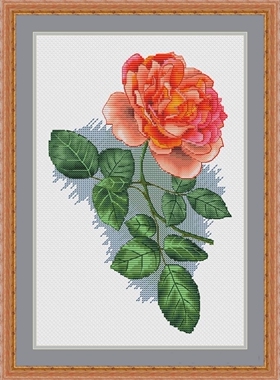刘年锦绣 正品DMC线R线十字绣自配套件 非印花 橙色玫瑰