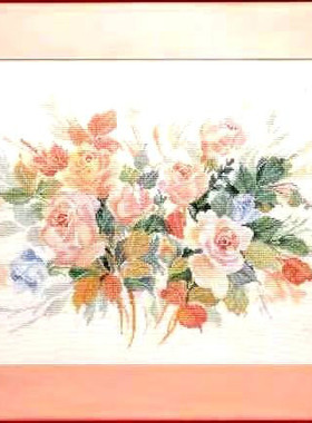 刘年锦绣  正品DMC线R线十字绣自配套件 非印花LA 33928