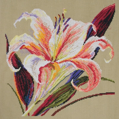 刘年锦绣 正品ANC绣线十字绣 非印花Maia 5678000-01092 -百合花