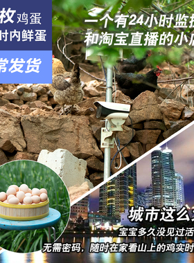 正宗土鸡蛋农家散养新鲜30枚包邮天然笨鸡蛋自养绿色跑山鸡