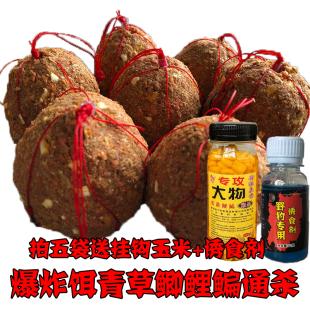 鱼食爆炸钩饵料抛竿鱼饵爆炸饵通杀鲫鲤青草鳊鲴爆炸钩鱼饵钓饵