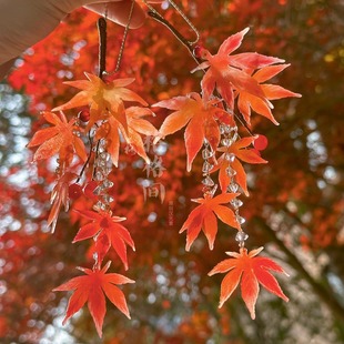 国风发饰旗袍珍珠汉服配饰 枫叶热缩花簪新中式 格格间原创 听枫