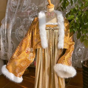 格格间原创 汉服法门寺披袄小唐风齐胸裙秋冬保暖加绒上衣 福临